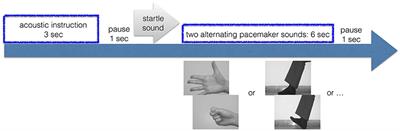 HD-EEG Based Classification of Motor-Imagery Related Activity in Patients With Spinal Cord Injury